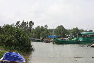 河畔停泊的多彩船只