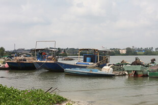 河边停泊的多彩船只