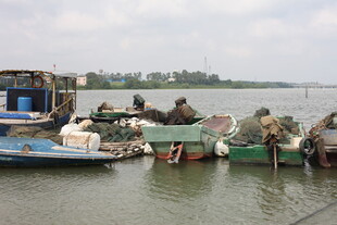 水上停泊的多艘渔船