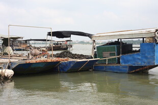 停泊在水边的多艘作业船只