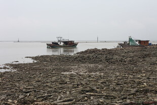 岸边停泊的几艘船只