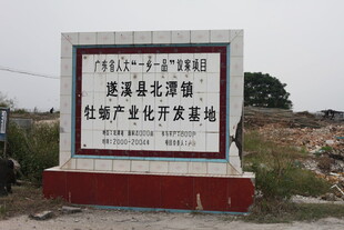 湛江生蚝保护区