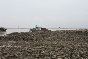 河岸船只与荒芜滩涂景象