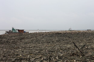 农田里的农机作业场景