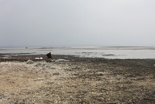 海边沙滩上的孤独身影