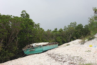 河边树林中的蓝绿色水域