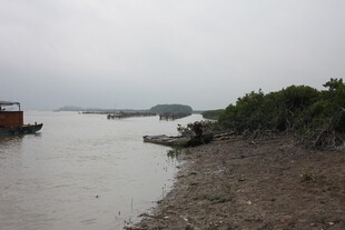 河边停泊的船只与岸景