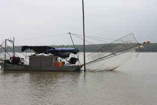 水面上的捕鱼作业船只