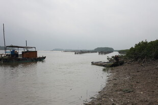 岸边停泊船只的宁静水域