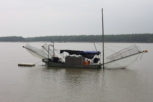 水面上的捕鱼船