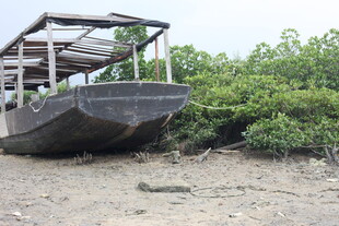 搁浅在岸边的老旧木船