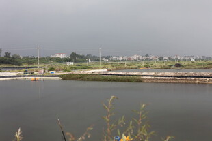 宁静水边田园风光景色