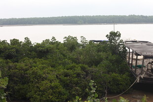 湖畔绿树环绕的建筑景观