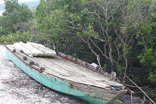 废弃木船静置于绿意环绕处