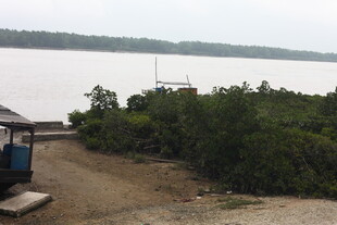 河边绿植与简易设施场景