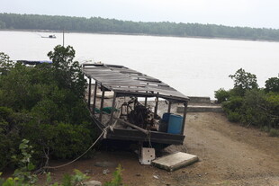 河边废弃船只周边绿意浓