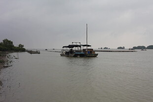 水面上的船只与岸边景色