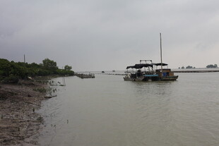 河岸边停泊的船只