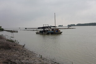 江边停泊的船只