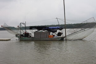 江上渔船作业场景