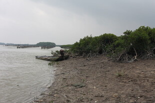 岸边停泊小船的自然景致
