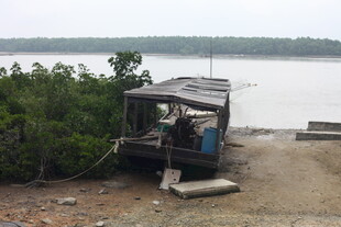 河边停靠的简易船只