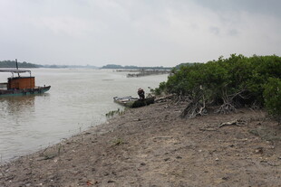 江边小船与岸边植被景象