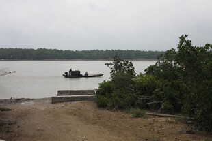 河边小船与岸边绿植景象