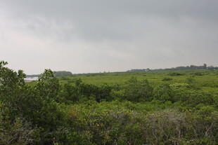 绿野风光云下自然景致