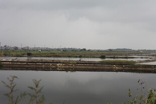 宁静水域边的开阔景致