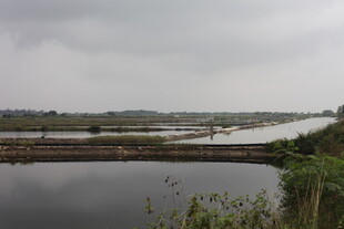 宁静水边田园风光景色