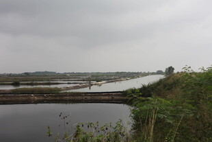 湿地风光水域与植被景观