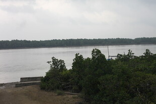 湖畔绿树环绕的宁静风光