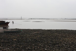 海边滩涂景象