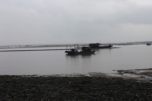 水面船只与岸边景象