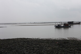 宁静水边停泊的船只