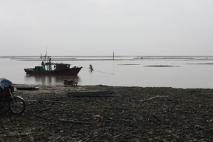 海边停泊的渔船与人物