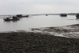 河岸停泊船只的静谧景象