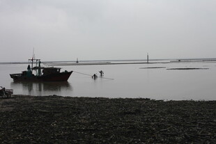 海边停泊的渔船与涉水者