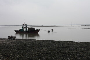 海边停泊的渔船与人物