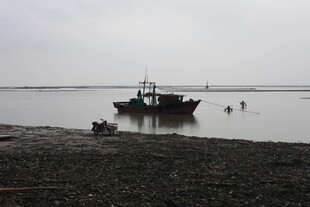 海边停泊的渔船与人物