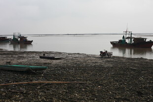 海边停泊的船只与浅滩