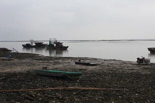 海边停泊的几艘渔船