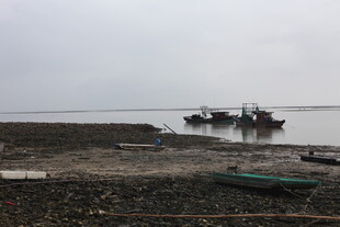 海边停泊的几艘渔船