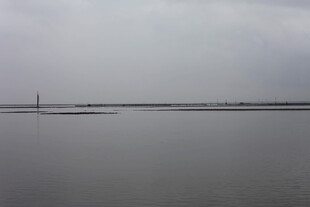 阴沉天空下的平静水域