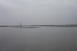 平静湖面与远处景物