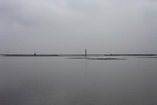 平静湖面与远处景物