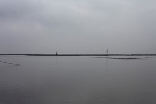 雾霭笼罩下的平静水域