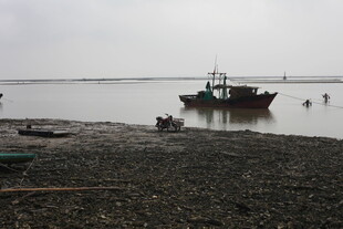 海边渔船与赶海人