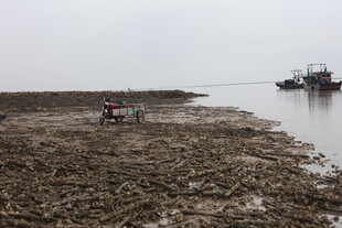 河岸旁的劳作场景